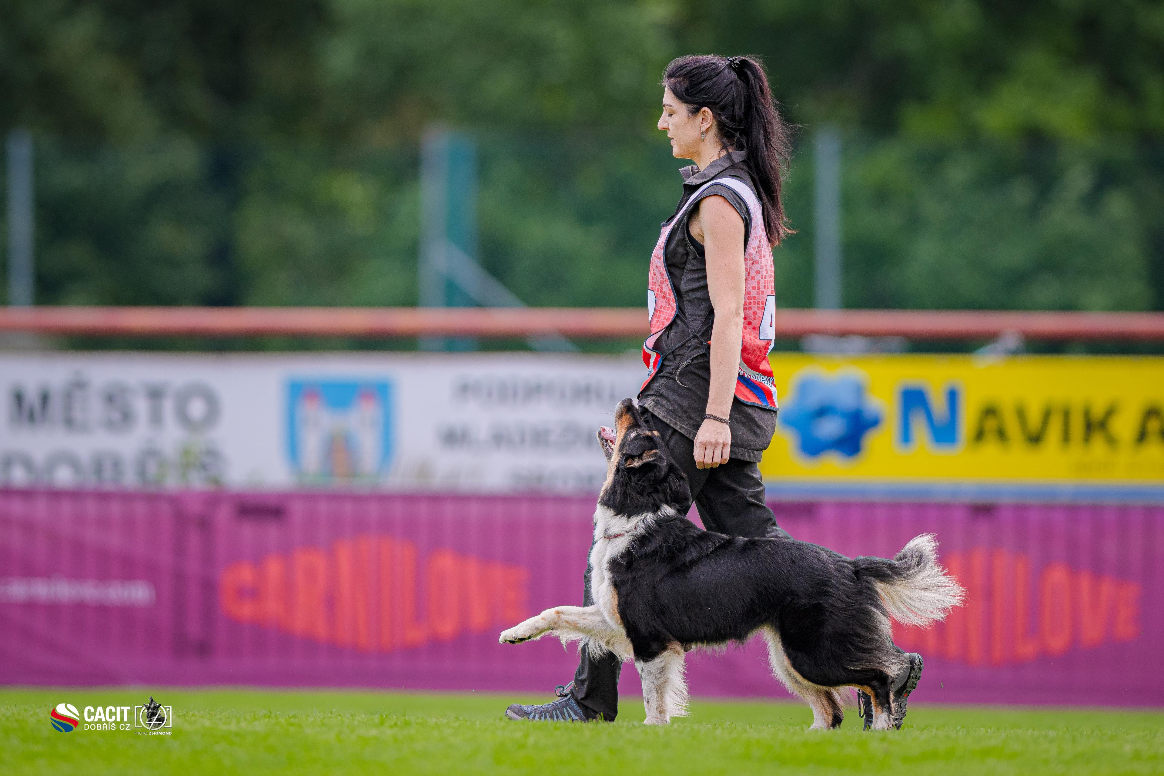 Reesheja sport dog training